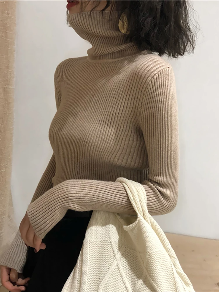 Zara® | Valentina Turtleneck