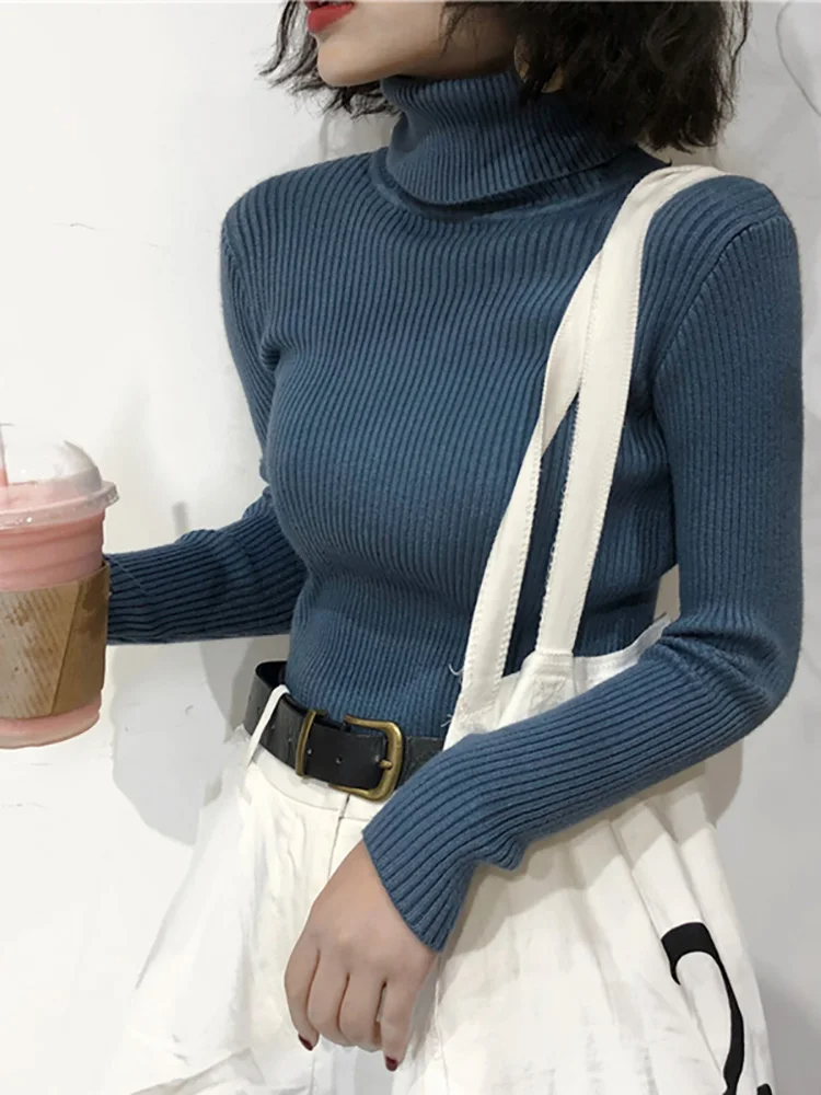 Zara® | Valentina Turtleneck