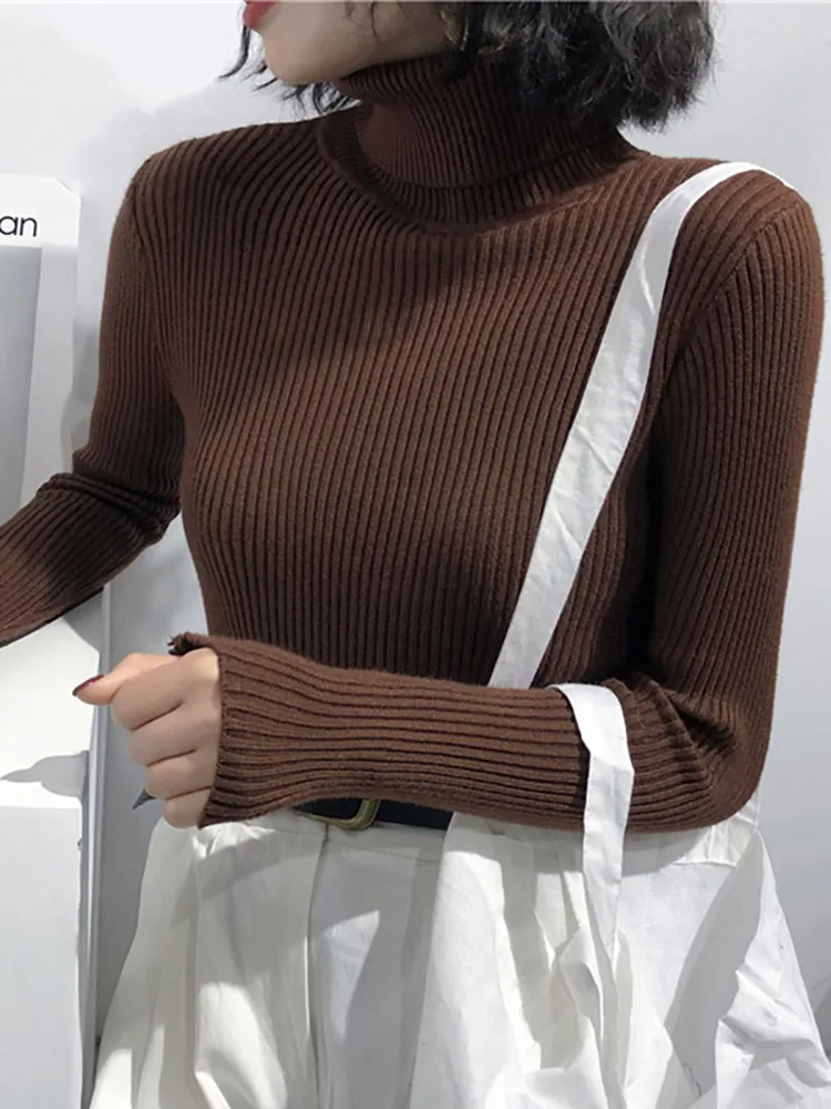 Zara® | Valentina Turtleneck