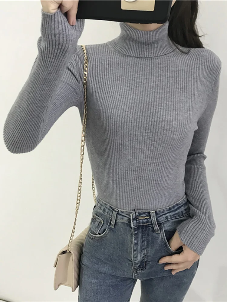Zara® | Valentina Turtleneck
